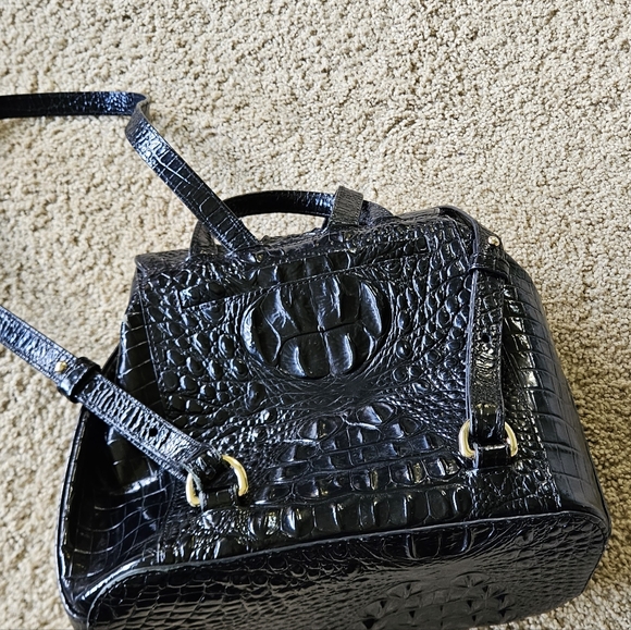 Brahmin - Picture 5 of 7